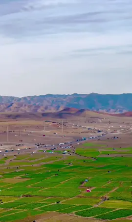 میرم به هرات  #میرم به هرات _دلکم تنگ شده 