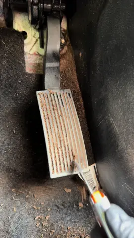 Satisfying 😍 #detailing #cars #satisfying #asmr #cleaning #fyp #viral 