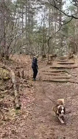 like a fail in the park 🐶😅 #dogs #fail