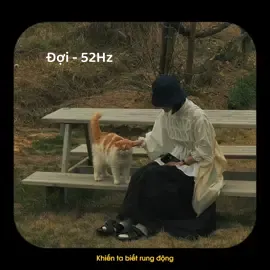 Có sai đâu nếu ta cứ mơ mộng…🍃 #CapCut #tnhu09 #LearnOnTikTok #doi #52hz #lyrics #tamtrang #xuhuong #fyp 