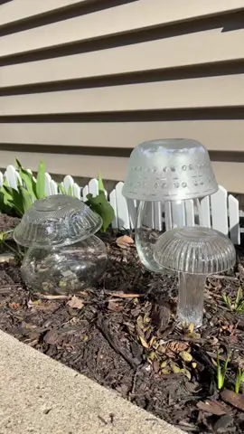 DIY Thrifted Glass Garden Mushrooms 🍄 — They catch the light beautifully. ☀️ — #thrift #DIY #project #homedecor #garden #upcycled #art #mushrooms #repurposed