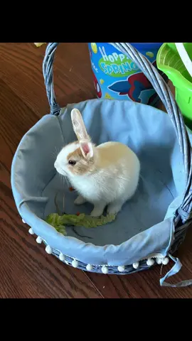 Follow train TEAMWORK #10k #teamwork #tiktok #followme #fypシ 