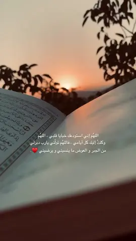 اللهُم إني #استودعك خبايا #قلبي ، اللهُم ‏ وكلتُ إليك كل أيامي ، فاللهُم تولّني يارب #دبرلي من الجبر و العوض ما ينسيني و يرضيني ♥️♥️.. #دعاء #اذكرالله #يارب #يدبر_الأمر 