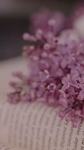 Propósito pela vida financeira 🙌 #propositocomdeus #proposito #oracaopoderosa #testemunho #milagre @Inspiração Diária 