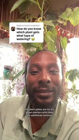 Replying to @Sona I hope this helps 😁🪴 #watermyplants 