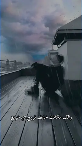 كتر التفكير 💔💔💔😔#fyp #foryou #fypシ #foryoupage #tiktok #viral #viralvideo #اكسبلور #اكسبلورexplore #مشاهير_تيك_توك #حزن_غياب_وجع_فراق_دموع_خذلان_صدمة #video #funny #funny #funny #حركة_الاكسبلور #حالات_واتس #لايك #متابعه #الشعب_الصيني_ماله_حل😂😂 #capcut #ليل_المحمدي @Lil Elmohamedy official @Saber van persie 