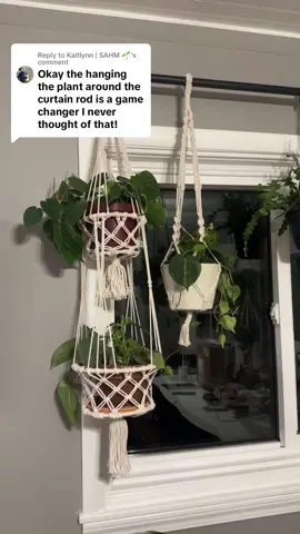 Replying to @Kaitlynn | SAHM 🌱 Lol right!! We don’t use the ones in the kitchen for curtains anymore 🙈 #plantlady #hangingplant #plantsoftiktok #plantmomaesthetic #plantmomma #plantmom 