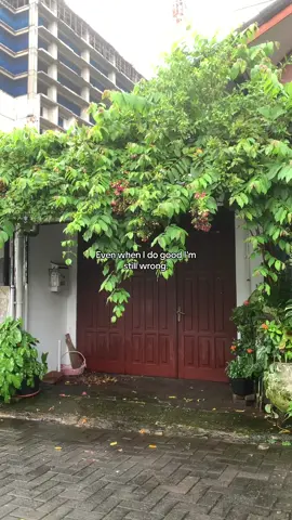 “Even when I do good I'm still wrong” #4u #fyp #sadvibes 