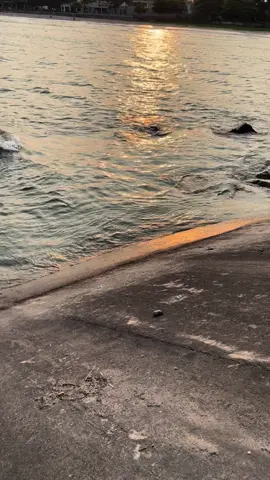 Sở dĩ mọi thứ phản tác dụng là do tôi không đủ năng lực …