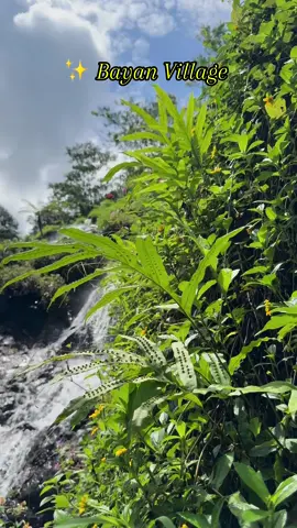📍Curug bayan & Bayan Village Dusun Ketileng,Kec Baturaden Central Java . . . #CapCut #bayanvillage #fypシ゚viral #fyp #fypシ #purwokerto #curugbayan #purwokertoviral #fypdong #indonesia #pesonaindonesia#purwokertokeren#centraljava#pesonaindonesia 