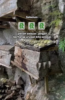 Kenapa tak seindah yang di iklankan #mahjong #gacorrr🔥 #pgsoft