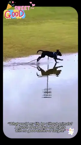 Funny!! #baby #funny #fun #cute #funnyvideos #babyfunny #babytok #trend #babytiktok #viralvideo #foryou #foryoupage #fyp #babycute #babylaugh #Love 
