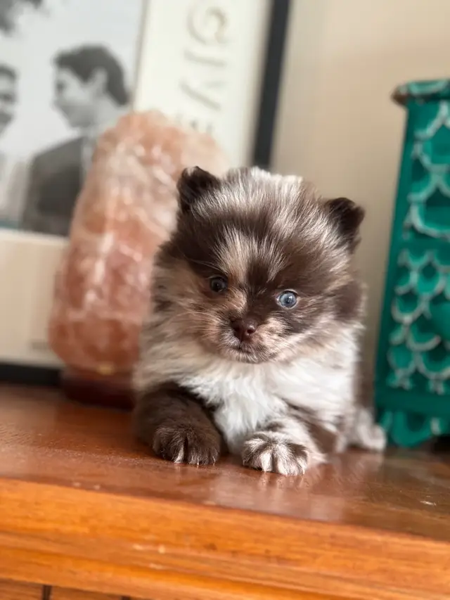 Look at that face … 🥹 