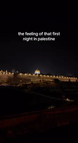 I love this country with every inch of me, i truly do. #palestine #foryoupage #foryou #fyp #abcxyz #levant #Summer #mediterranean #travel #jerusalem 