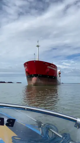 Pahlawannya datang pake tugboat kita libas pakai tanker🚢 #pelautmuda #pelautpunyacerita #pelautindonesia #mt #tankership 
