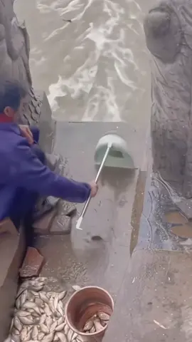 Bắt cá kể ra cũng nhàn 😅 #funny #5akfishing 