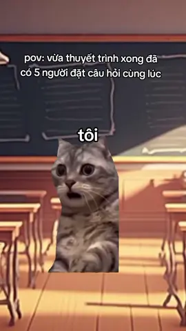 pov: vừa thuyết trình xong đã có 5 người đặt câu hỏi cùng lúc #tamtrang_camxuc #meme #giaitri #xuhuong #fyp #meo #caption #vuinhon  #xuhuongtiktok 