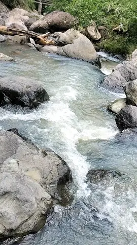 main ke kali yukk....🥰🥰 #kali  #kampunghalaman  #pacitan #fyp 