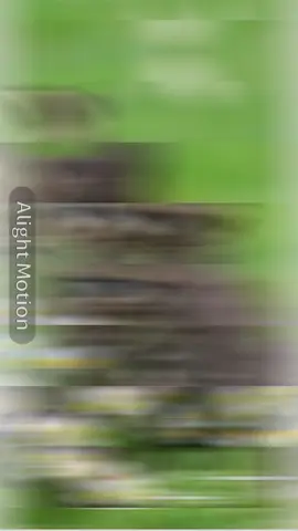 ခုမ #alightmotion စသုံးတတ်တာ #ရောက်စမ်း#fypပေါ်#မရောက်လည်းနေ #မြင်ပါများပြီးချစ်ကျွမ်းဝင်အောင်လို့😜🤗 