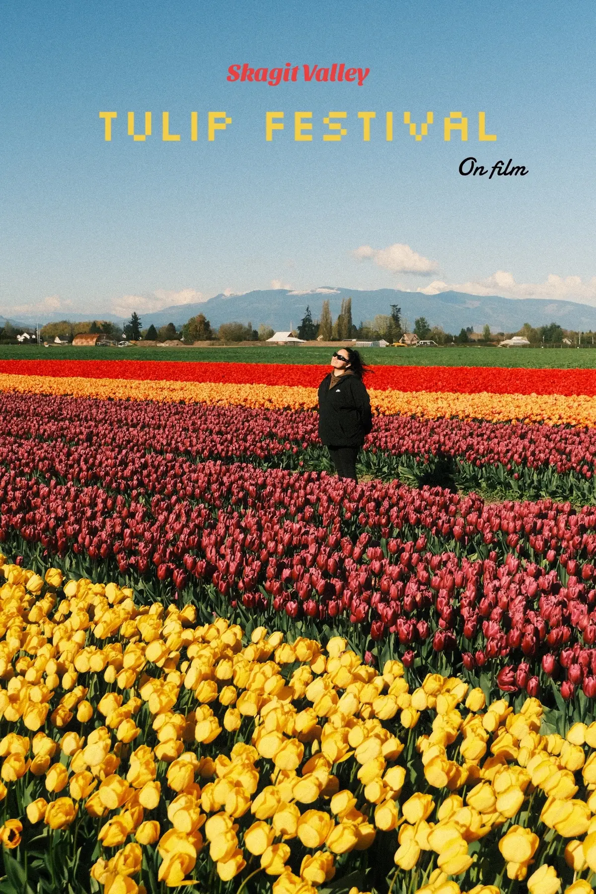 Skagit Valley Tulip Festival - April 2024 🌷🤍  -RoozenGaarde 🌷 #skagitvalley #skagitvalleytulipfestival #roozengaarde #fujifilm #filmsimulation #fujisimulationfilm #seattle #washingtontulips #spring 