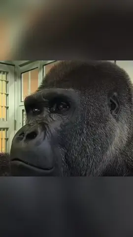 Hôm nay là thứ...ấy mình không nên nói ra. #xuhuongtiktok #giaitritiktok #cuoituanvuive #thu7 