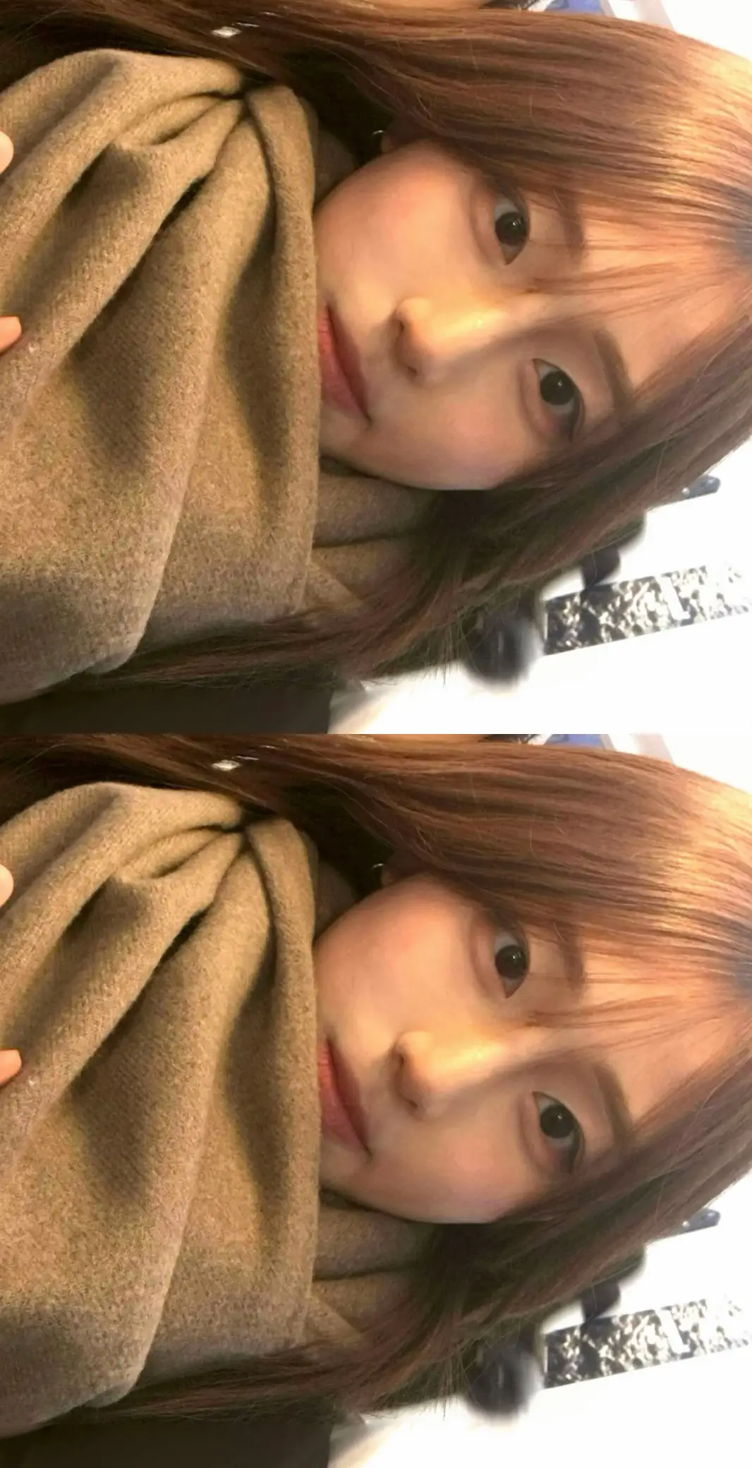 마지막에 너구리 나옴