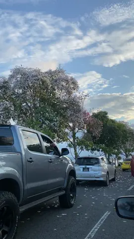 tawau , japan 