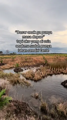 Ini masa depan lo tante🙏#harapanbesama #lahansawit #pribadi #anaksma #sawitsumsel 