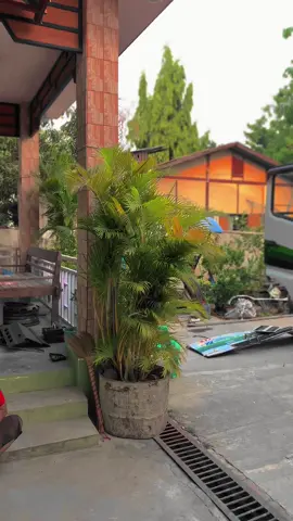 ရိုးရိုးရှင်းရှင်းလေးနဲ့ ပြန်လာတော့မယ်😁💚#CapCut 