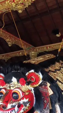Sampun puput preraga anyar lan nyulam prerai sesuunan sane melinggih ring br gunung kangin baturiti tabanan KLASIK  Sangging Nyomantriyana   #fypシ #klasik #barongmacan 