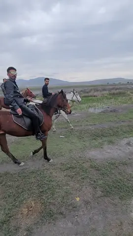 #خيل #خيل_وخياله🐎 #خيل_عربي_اصيل #قيصري #الشعب_الصيني_ماله_حل😂😂 #عشائر #تركيا🇹🇷اسطنبول #فولو #لايك #اكسبلور #اكسبلورexplore #حركة_الاكسبلور 