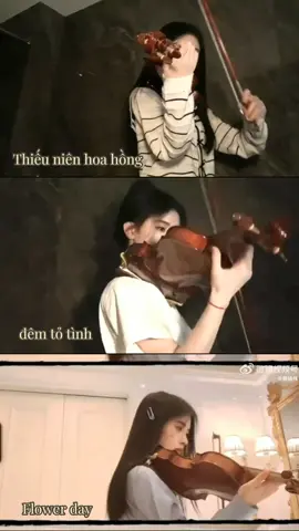 :Cúc Tịnh Y với những bản violin hay❤️ #cuctinhy #jujingyi #jujingyi鞠婧祎 #violin #thieunienhoahong #demtotinh #flowerday #nhachay #thinhhanh #viral