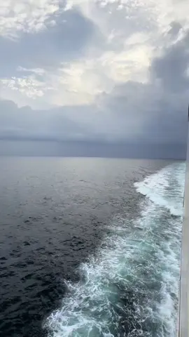 يارب يلي تعلم الشر والخير#أكسبلور #تصويري📸 