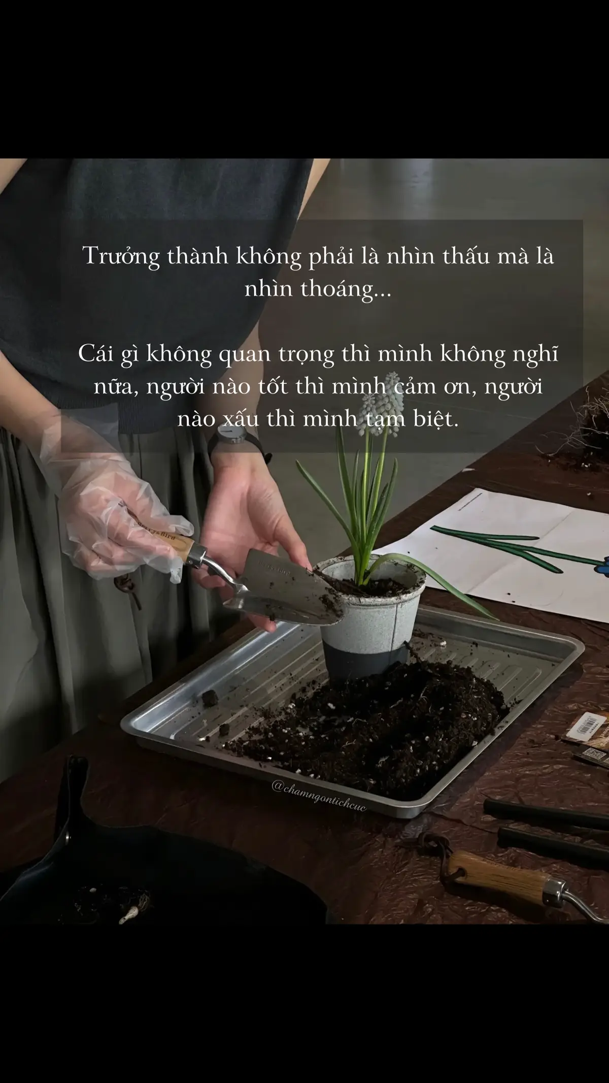 Cái gì không quan trọng thì mình bỏ qua đi được không. #chamngontichcuc #chamngonsong #lachinhminh☘️ #2024 #xuhuong #trending #sach 