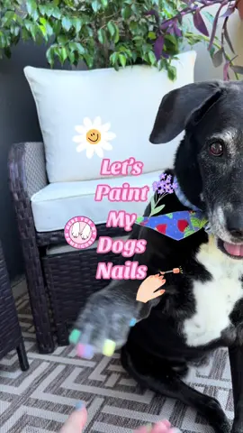 Its pawdicure day 💅🏻 🐾  ##dogmom##dognails##paintmydogsnails##painteddognails##cutedog##spaday##pawdicure##dogsoftiktok
