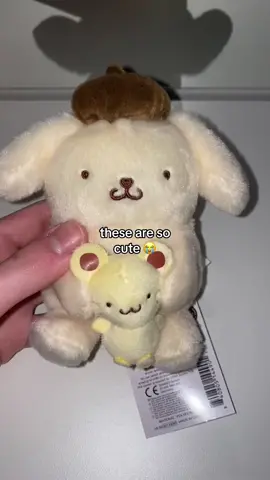 its literally so soft too #sanrio #hellokitty #hellokittygirl #pompompurin #mymelody #kuromi #sanriogirl #sanrioplush #hellokittyplush 