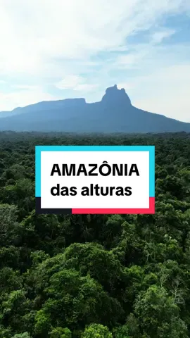 Achou que na Amazônia só tinha planícies? Então te apresento a Amazônia das serras! #amazonia #amazonas #dronevideo #natureza 