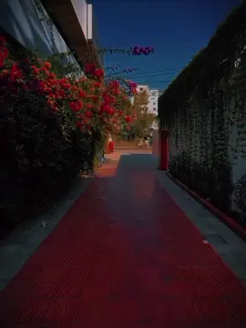 তুমি আমার হয়েও, কখনো আমায় বোঝোনি.!  :)😅💔  #foryou #foryoutiktok #viral_tiktok #status_video #crop #videos #fyp #creatontiktok #whattowatch #tiktokbangladesh #dead_girl54 #dead_girl54 @TikTok Bangladesh - Official @Foryoutiktok 