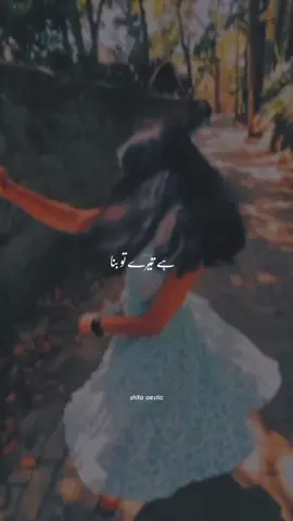 Ve Haaniyan Ve Dil jaaniyan!🥹🦋💖✨ #ayeshaaesticx #foryou #foryoupage #fyp #lyrics #song #tuhidintuhimeriraat 