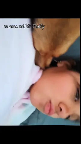 #floffy #venezolana #chile #perritachilenatiavenezolana #paratiiiiiiiiiiiiiiiiiiiiiiiiiiiiiii #parati #ame #loveyou @lisleimarsanabria @Anyibelys Ramirez ##soytia 