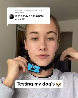 🐾 Say goodbye to barking woes! 🐾 Introducing our Painless Anti-Bark Collar! ✨ Gentle &  Effective ✨ Comfortable Fit ✨ Stress-Free Walks ✨ Easy to use Make every day a bark-free day! Try it now! 🐶✨ #QuietTime#HappyPup #BarkControl #dog #dogs #barking
