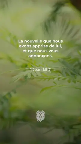 1 Jean 1:5-7. La nouvelle que nous avons apprise de lui, et que nous vous annonçons, c'est que Dieu est lumière, et qu'il n'y a point en lui de ténèbres. Louis Segond #labible #biblevision