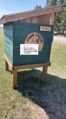 Replying to @Courtney Lynn Jones  farm stand tour ! Sorry about the crazy wind ! #eggstand #farmstand #farmeggs #eggdealer 