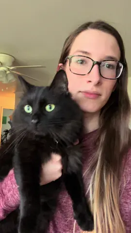 My first ever Volkswagen Audi group vehicle! I’m pleasantly surprised with it :)