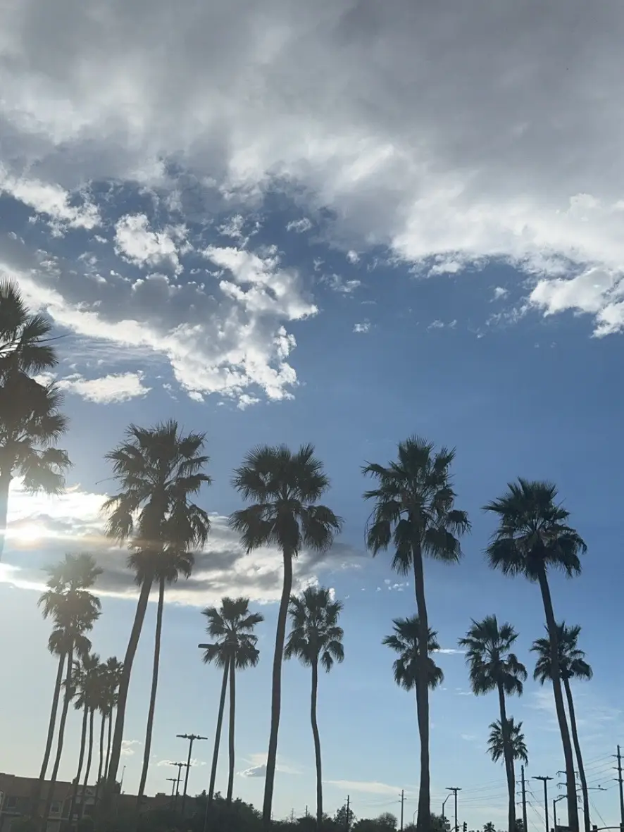 🏜️🌵🤠