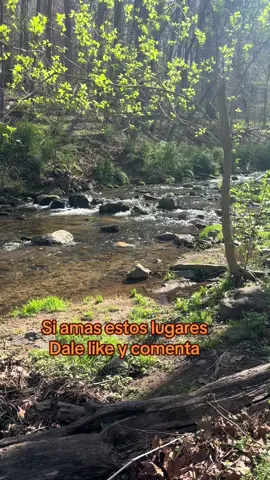 #viral#naturaleza 
