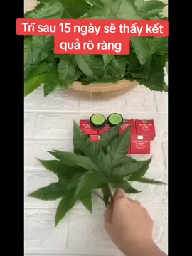 trĩ nội trĩ ngoại hãy xem và mua nhé#caotri #tri #trinoi #tringoai #video @Quyên lara chính hãng 