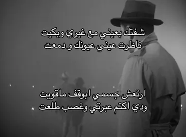 #يوسف_المطرف 