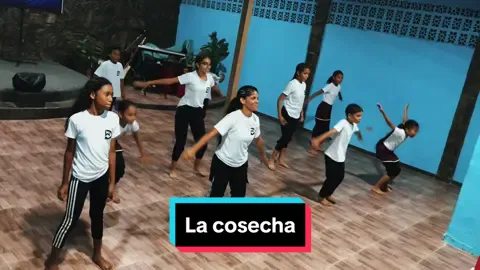 🌾Canción: La cosecha (Marcos barrientos) #worshipers #danzacristiana #lyrics #tiktokcristianos #dancecontemporanea #musicacristiana #sobretodoelesdios #contenidocristiano #jovenescristianos #hagamosviralajesus #niñoscristianos #venezuela #danzores #worship #lacosechamarcosbarrientos #marcosbarrientos #alabanzas_cristianas 