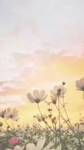 #jworgespañol #testigosdejehova  #jehova #misvideosteocraticos 